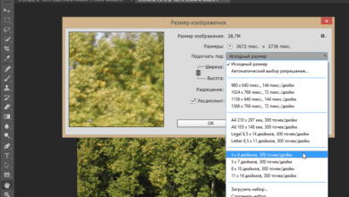 Photo of Преобразование цветового пространства в Photoshop
