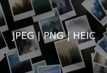 Photo of Разница между JPEG и PNG