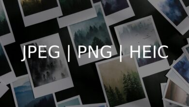 Photo of Разница между JPEG и PNG